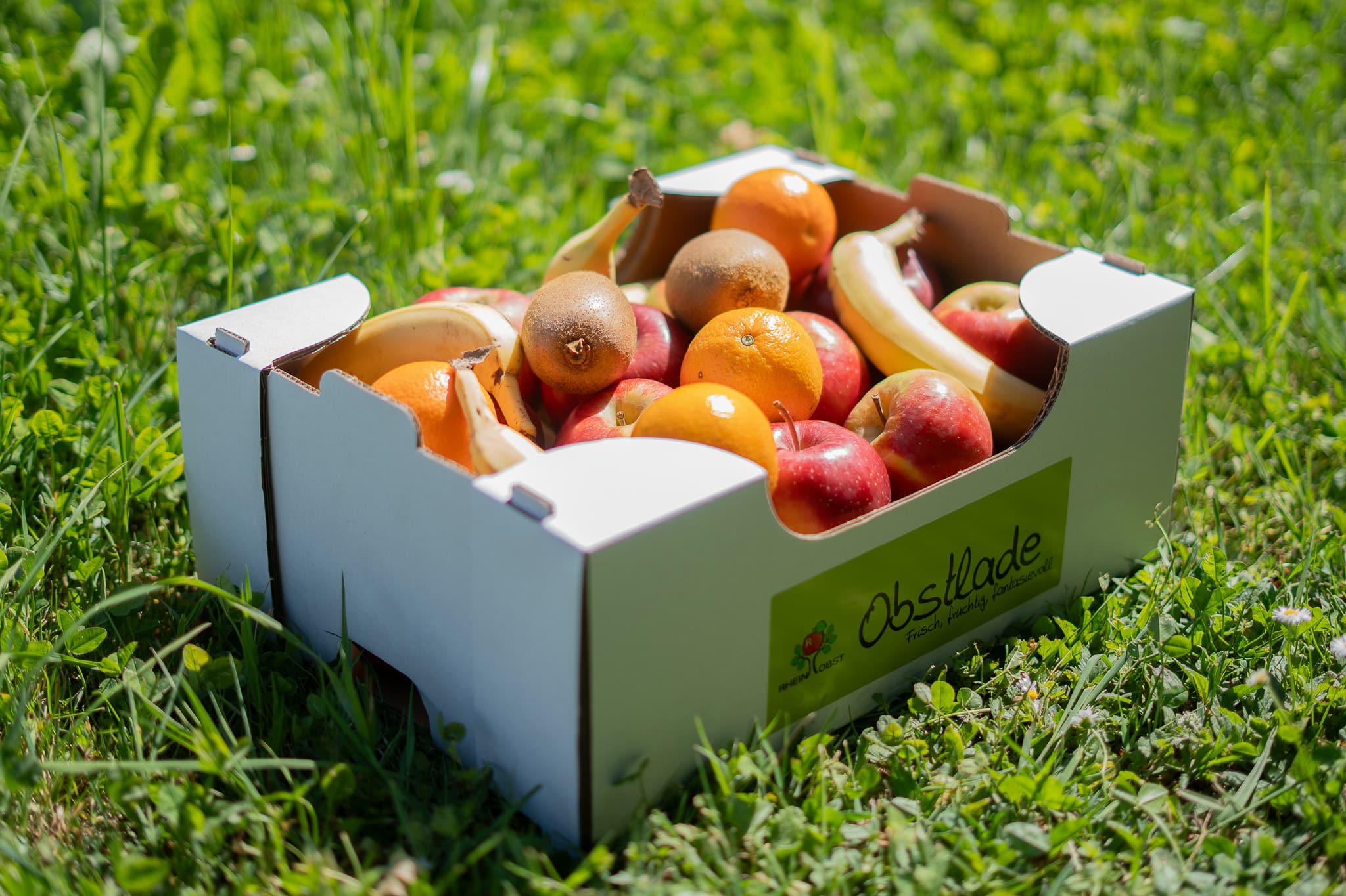 Rheinobst Genossenschaft — Bild 2