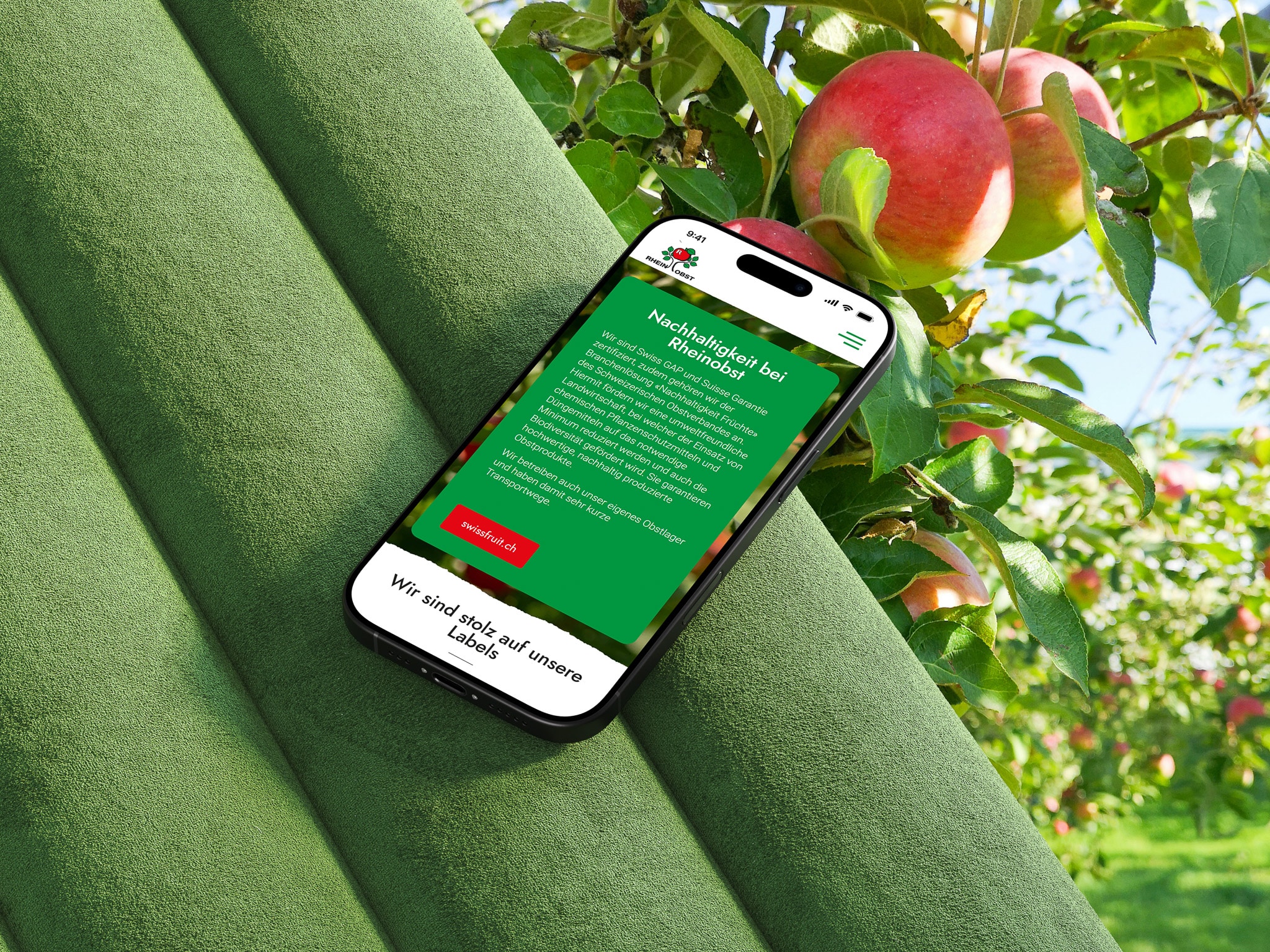 Rheinobst Genossenschaft — Bild 4