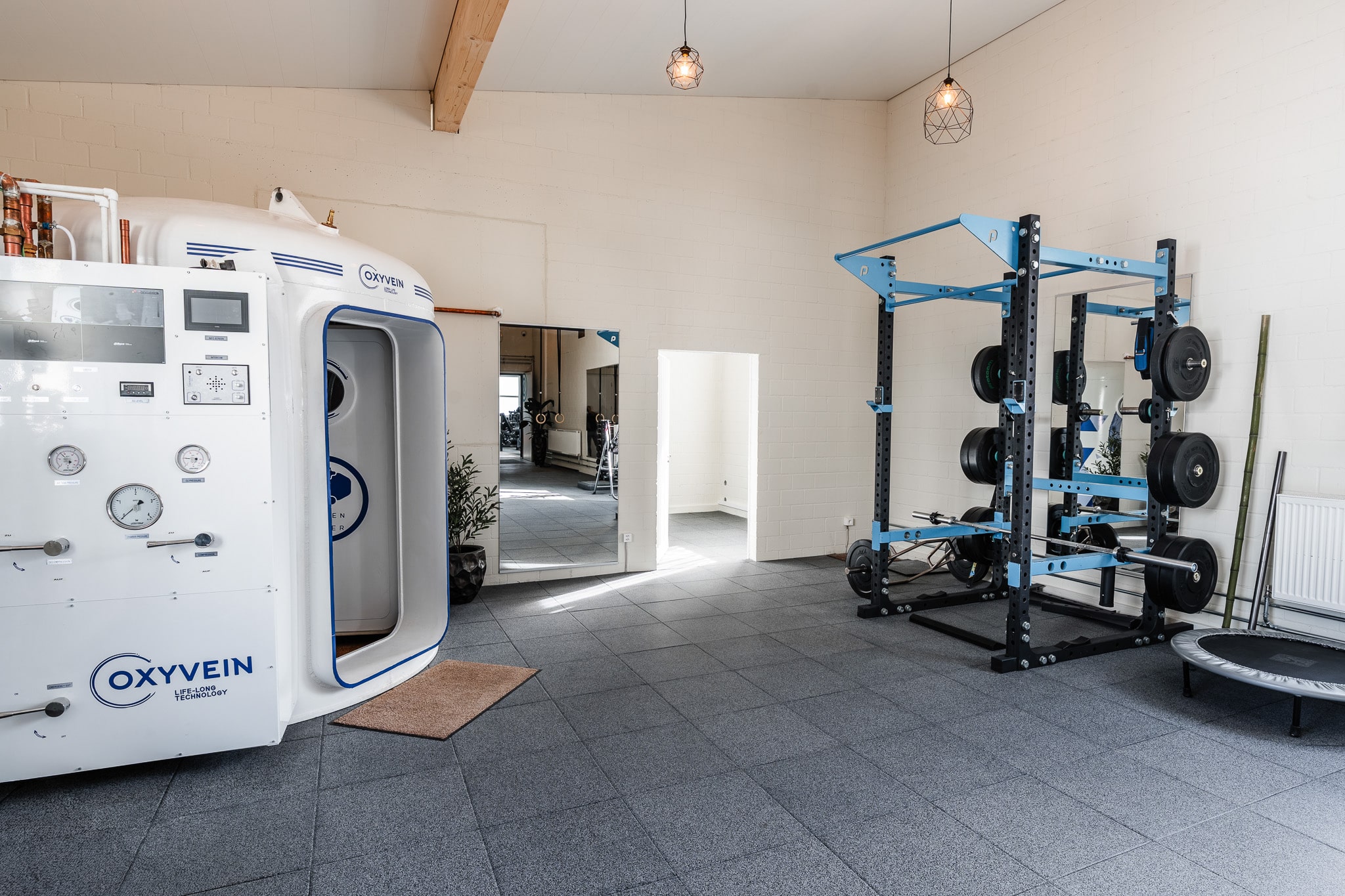 Swiss Longevity AG — Bild 5